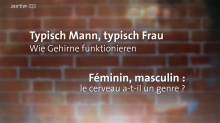Féminin, masculin : le cerveau a-t-il un genre ?