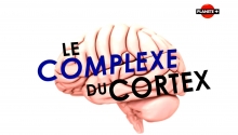 [Serie] Le complex du cortex