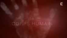 [Serie] Le corps humain