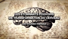 Les étonnants pouvoirs de transformation du cerveau