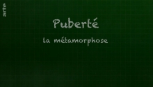 Puberté - La métamorphose