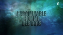 L'Abominable Homme des Bois