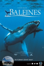 Humpback Whales