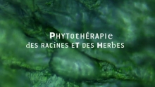 Phytothérapie - des racines et des herbes