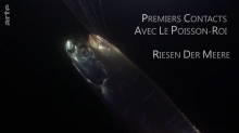 Régalec - Premiers Contacts avec le Poisson Roi