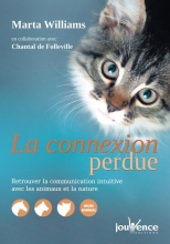 La connexion perdue 
