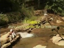 Alliance avec les Esprits de la nature