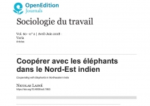 Coopérer avec les éléphants dans le Nord-Est indien