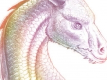 Yann Lipnick : Les Dragons - BOB