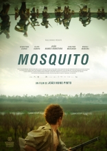 Mosquito 