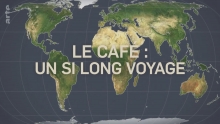 Le Dessous Des Cartes - Le café, un si long voyage
