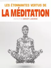Les Etonnantes Vertus de la Méditation