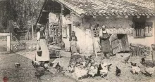 La France Rurale - Un Siècle de Mutations
