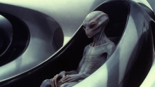 Gris (Entités)
